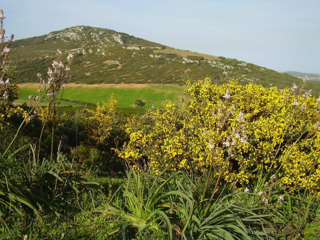 Agriturismo Cuile De Molino Porto Torres Eksteriør billede