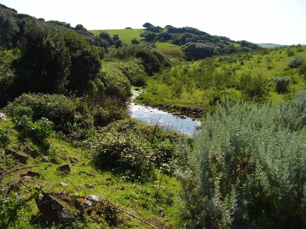 Agriturismo Cuile De Molino Porto Torres Eksteriør billede
