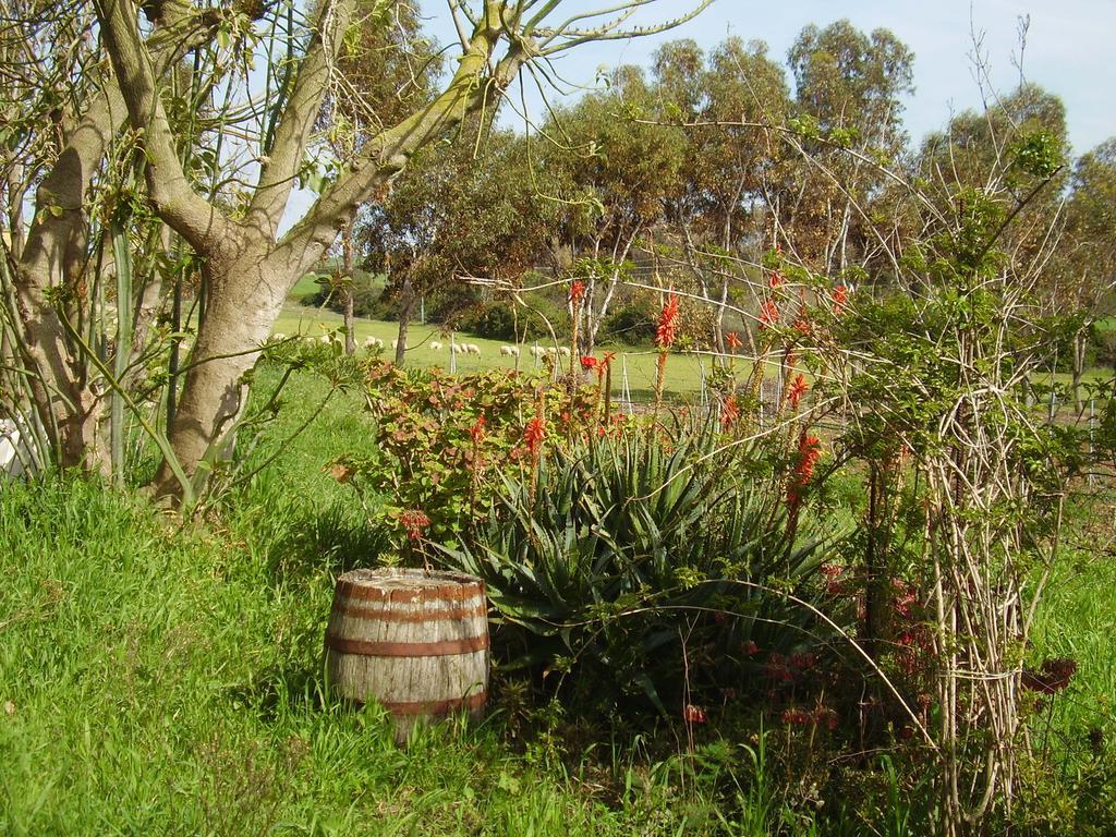 Agriturismo Cuile De Molino Porto Torres Eksteriør billede