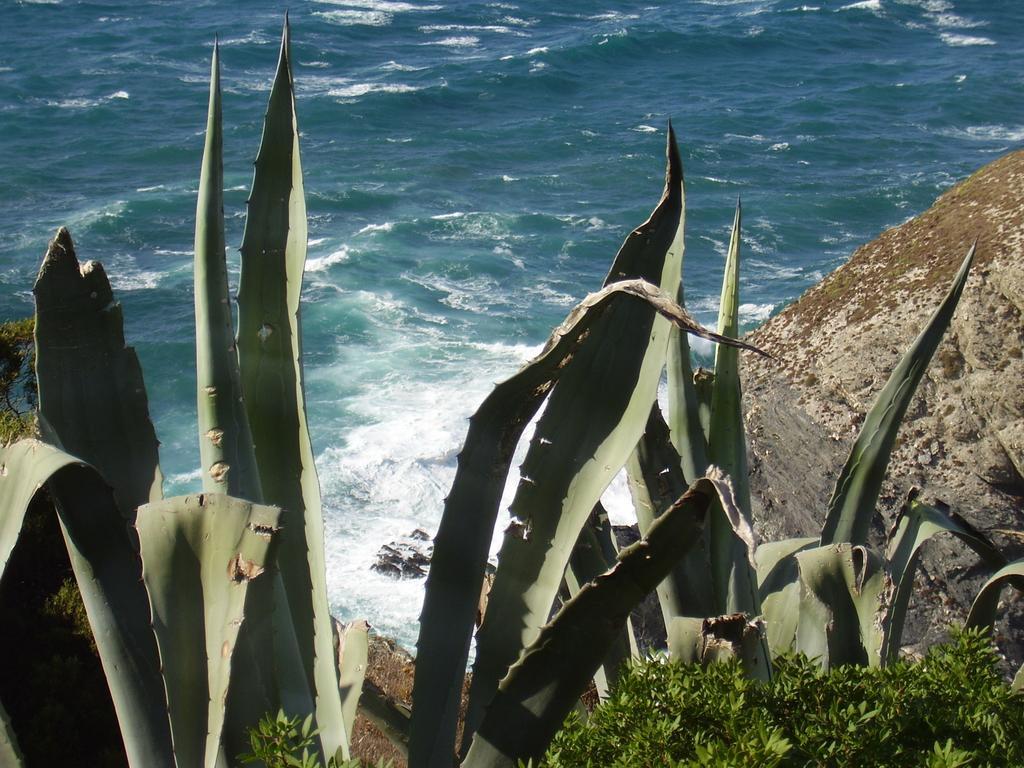 Agriturismo Cuile De Molino Porto Torres Eksteriør billede